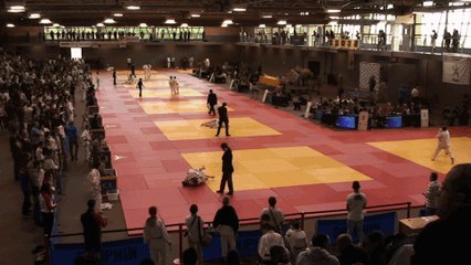 coupe de France de Judo 2014