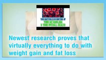 Flat Belly Forever-Flat Belly Forever Review-Truth About The Flat Belly Forever System Video