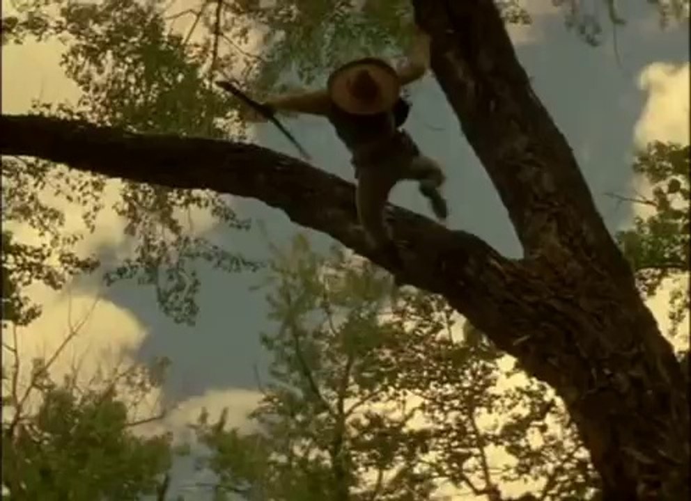 Texas Rangers