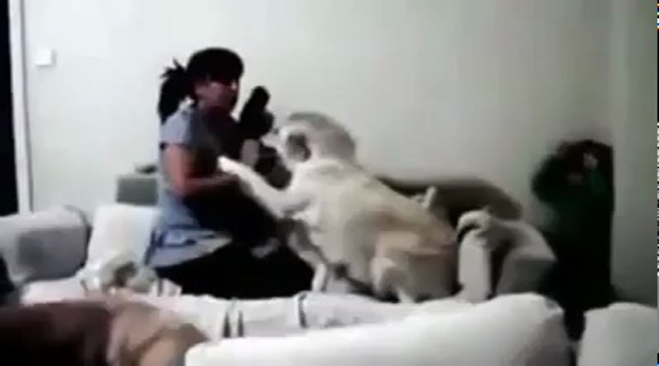 HAYVANLARIN O MASUM SEVGİSİNİ İSTİSMAR ETMEK!..