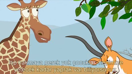 Çocuklar için Evrim  Zürafaların neden uzun boyunları var