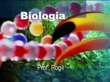 BIOLOGIA CICLOS BIOGEOQUÍMICOS