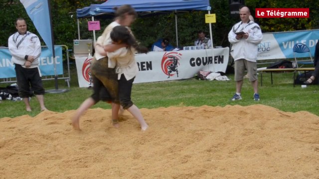 Saint-Brieuc. Le Skol Gouren Sant-Brieg a fêté ses dix ans