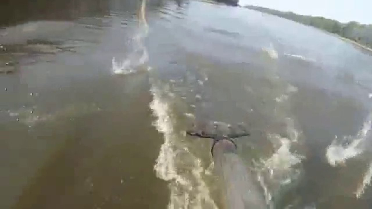Kill Of The Week - Boomerang Vs. Asian Carp!