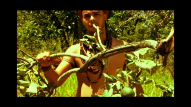 Trailler Sagrada Terra Especulada, a luta contra o Setor Noroeste