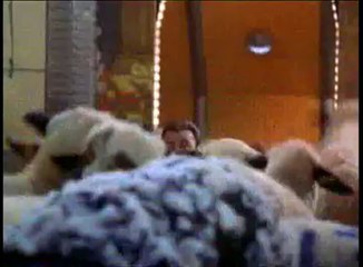 2001: A Space Travesty (trailer)