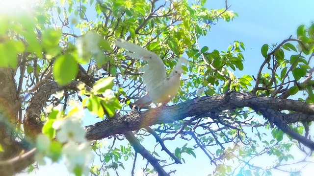 © Aiftv ~ Только не надо...