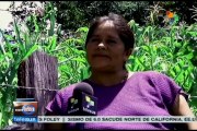 Campesinos guatemaltecos en vulnerabilidad alimentica por sequía