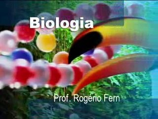 BIOLOGIA REPRODUÇÃO DAS GIMNOSPERMAS E DAS ANGIOSPERMAS