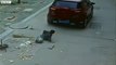 Chinese boy unhurt after car runs over him