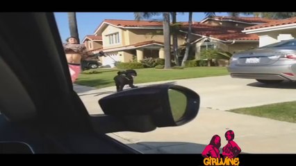 BEST OF VINES - EPIC & FUNNY - August 2014