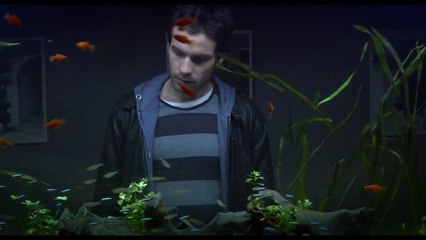 la vida de los peces - matias bize