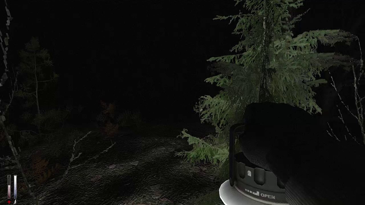 Cry of Fear - 11 / A travers les bois