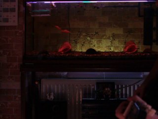 Aşktan Öte (Cover)