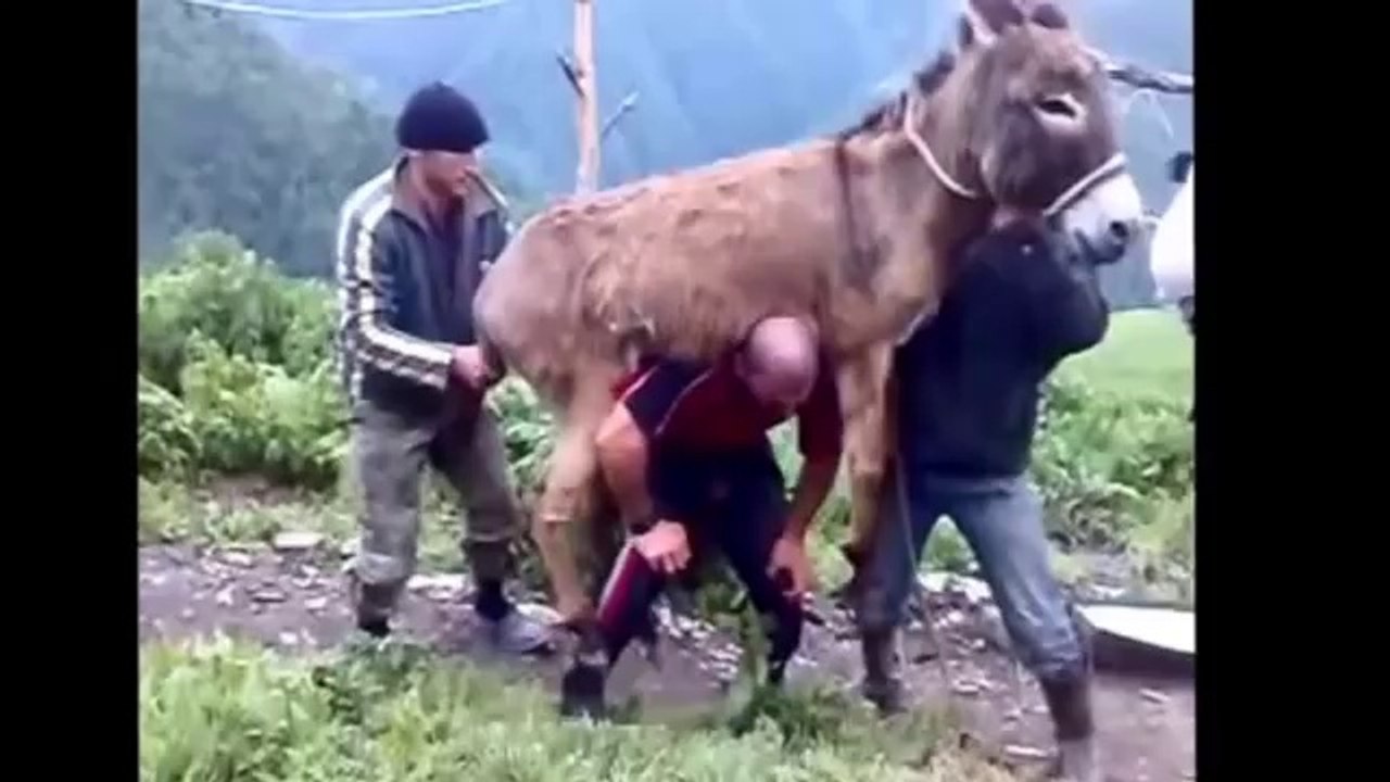 Most Funny Kids, Funny Peoples and Funny Animals Compilation