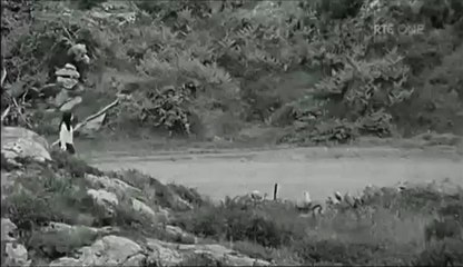 Muscraí Muskerry-Voices from a Hidden People,RTE