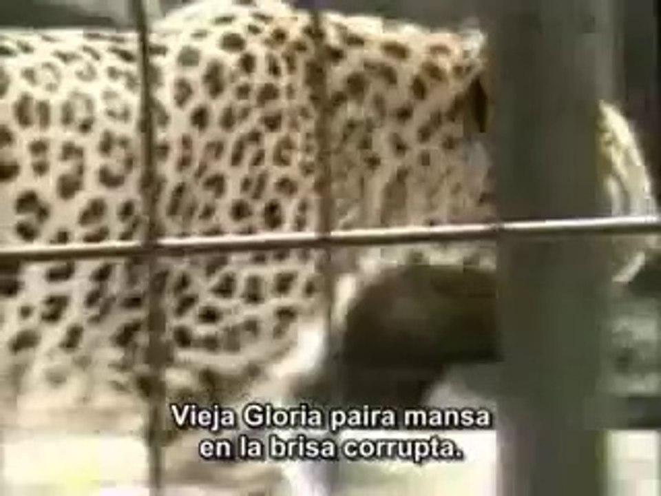 BURROUGHS Commissioner of sewers - Fragmentos - Subtítulos castellano (1/2)