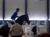 Photo jumping de bdx 042