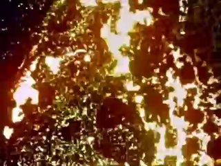 Stan Brakhage - "Eye Myth" (1972)