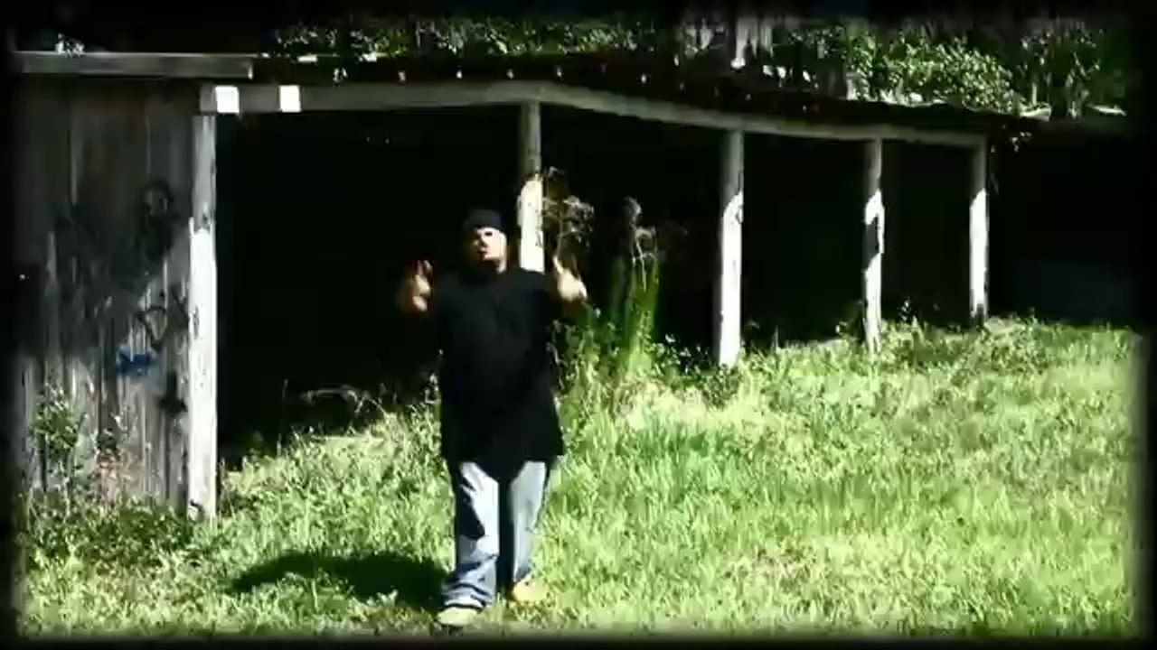 GRAVEDIGGAZ - 2012