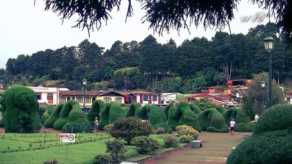 Relax with Gabryylian's Chill Out Music in Beautiful Zarcero, Costa Rica 🎶