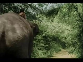 Shirley Temple - Kid In Africa