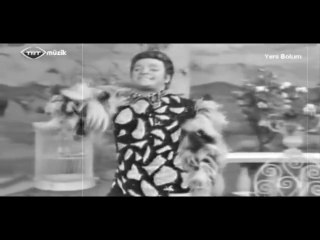 Seven Ne Yapmaz - Zeki Müren