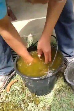 Mieux que le Ice Bucket Challenge : Excrement Bucket Challenge