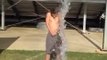 Gros Fail pendant un Ice Bucket Challenge : il se prend l'eau, les glaçons et le seau!