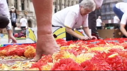 Alfombra floral en Bruselas | Euromaxx