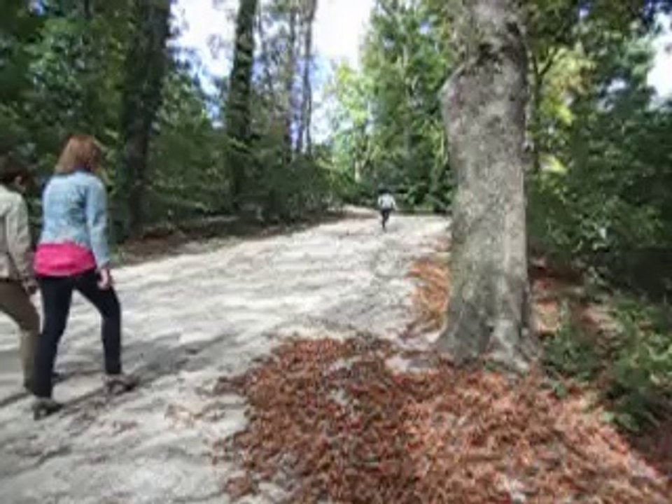 margot au parc de Champagne