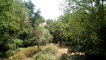 LİCE AMED ESKİ YENİ ŞEHİR GÖRÜNTÜSÜNE GÜNDEMDEKİ REAL GÖRÜŞLER İLE ÇEKTİK..