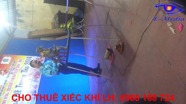 Cho thuê xiếc khỉ, cung cấp xiếc khỉ LH:0968 168 724