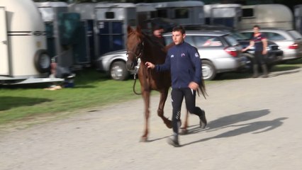 Echauffements chevaux de l'équipe de France