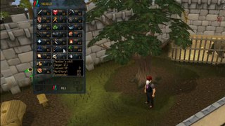 PlayerUp.com - Buy Sell Accounts - selling a runescape account