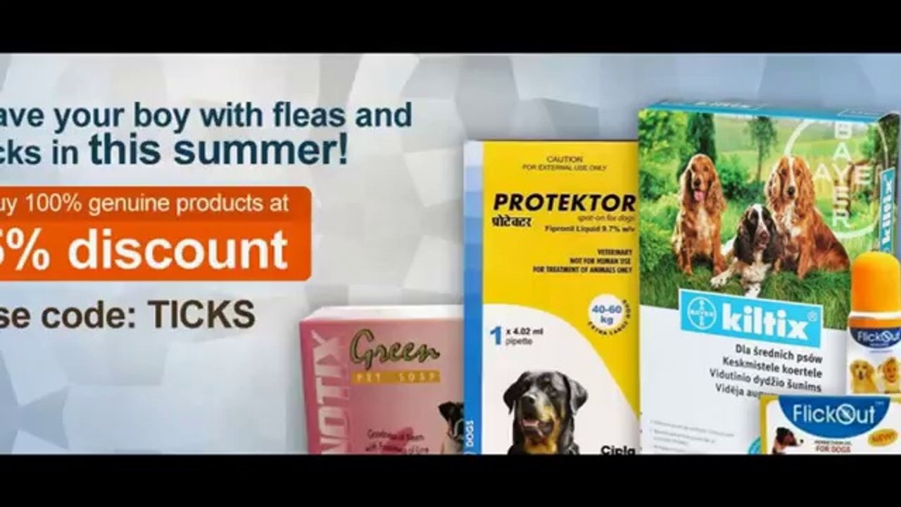 Online Dog Products @ moooou.com