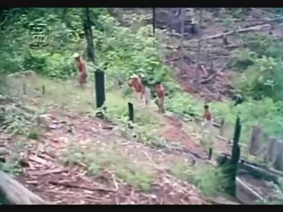 Amazonas, Amazonas Parte 1