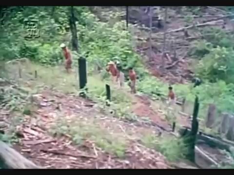 Amazonas, Amazonas Parte 1