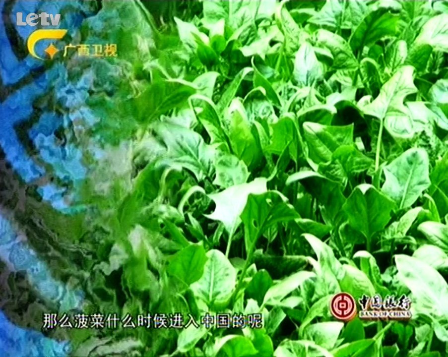 20131109 收藏马未都 《收藏马未都》20131109：盛世大唐话饮食