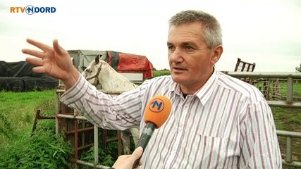 Paardenhouder: Hier is iemand die niet spoort - RTV Noord