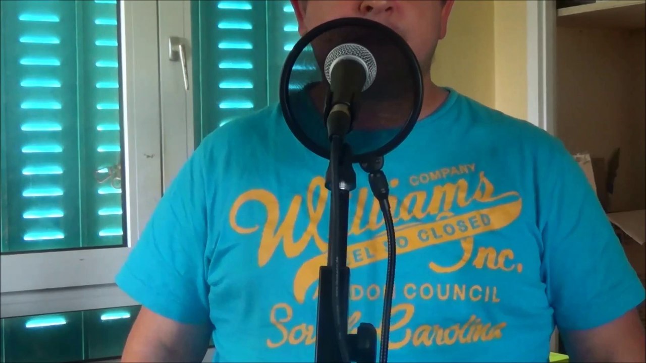 Je chante En chantant de Michel Sardou