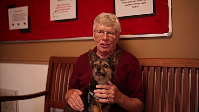 Welcome to Stewartstown Vet