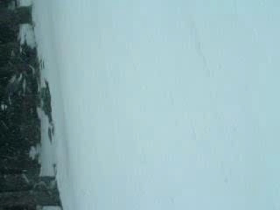 DSCN0385