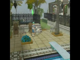 Wakfu Sims 2 version 1