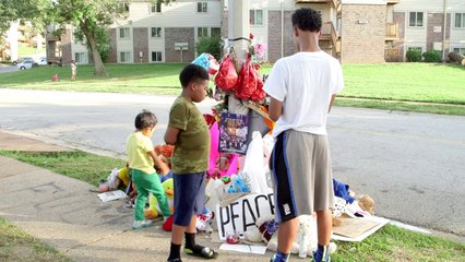 Ferguson's Divide: The Haves and Have Nots of a Middle American Town.