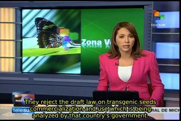 Argentina: Environmentalist organizations say "no" to Monsanto Law