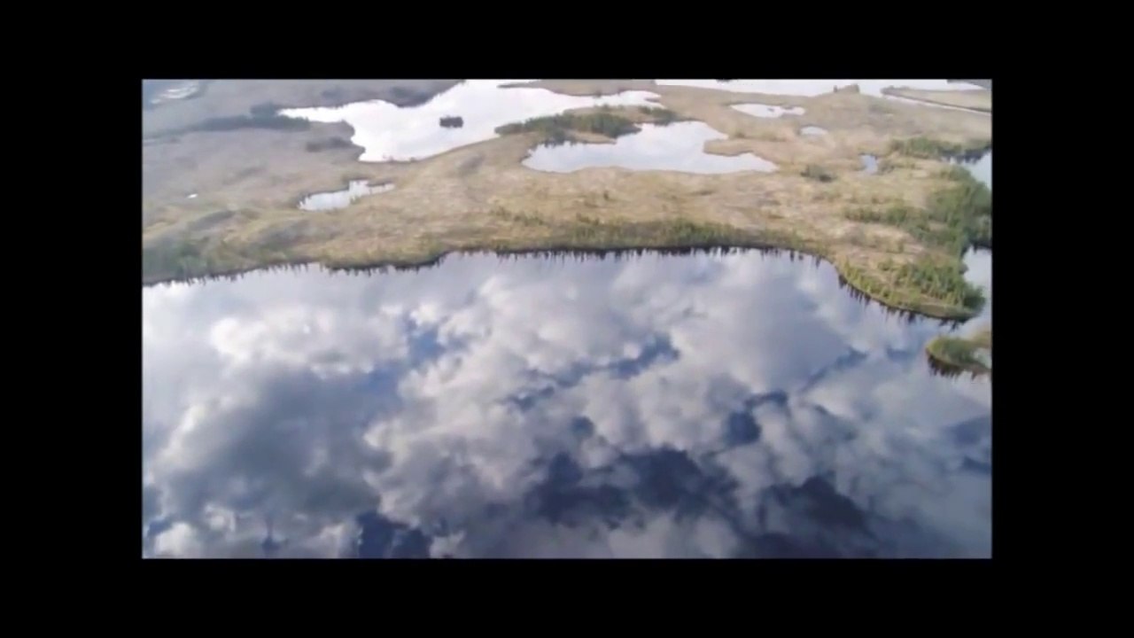 Florestas e Homens (Documentário Dublado)