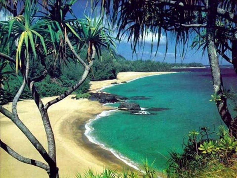 Kanun - Hüzzam Taksim & Hüzzam Peşrev - Beste - Seyfettin Osmanoglu .wmv