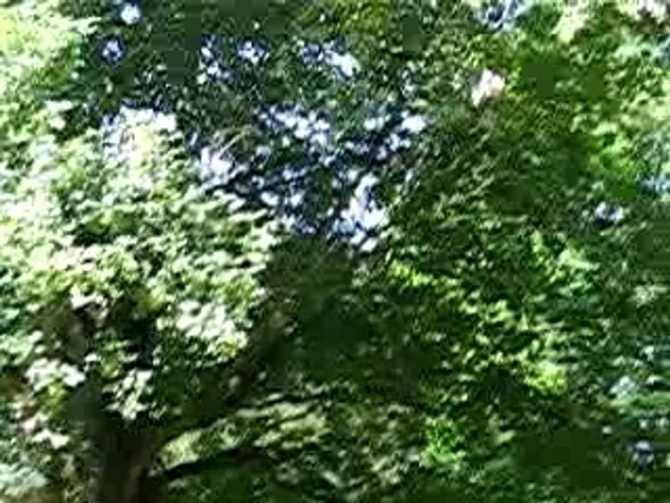 Basket Ball au château!
