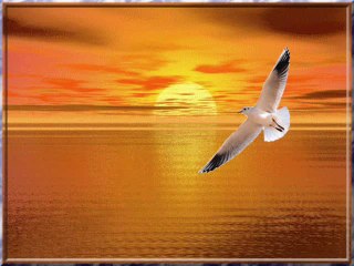 Ömer Suman  : Beklerim hergün bu sahillerde